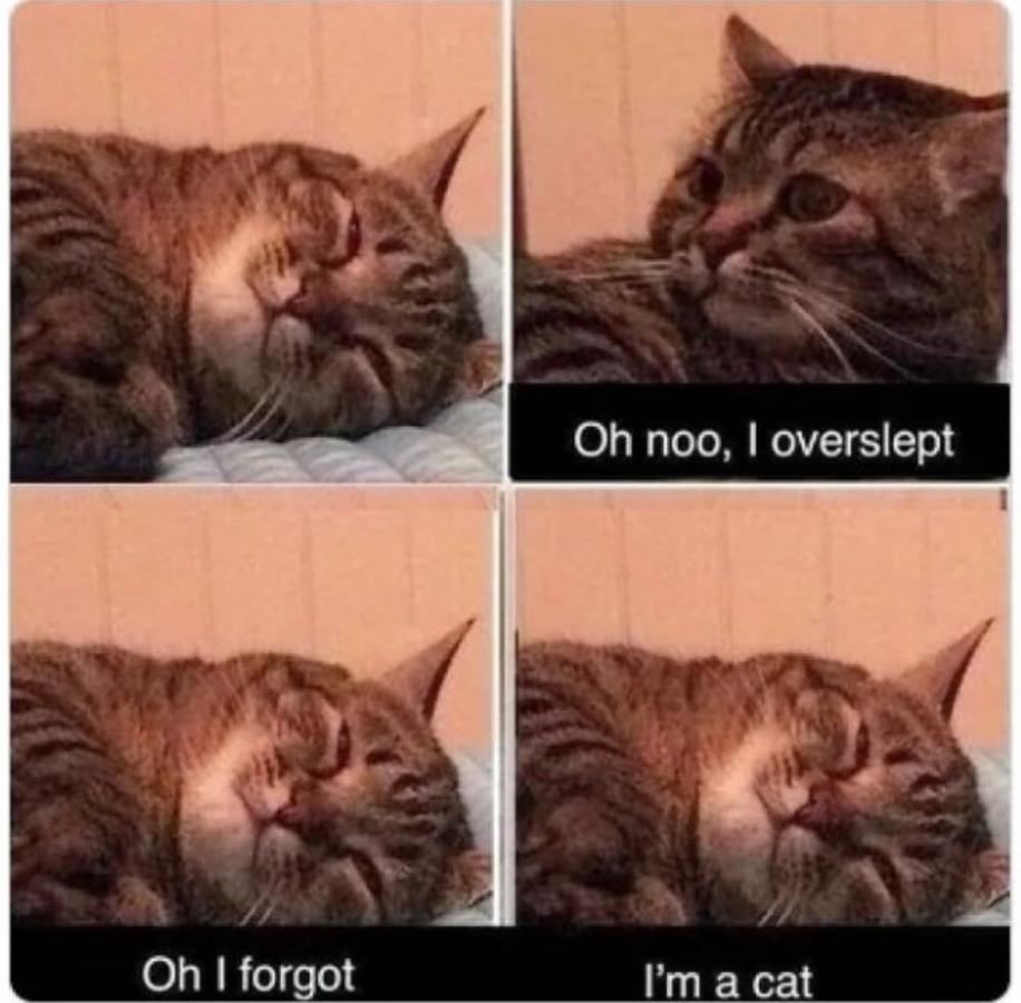 Name:  20240527_173911.jpg
Views: 67
Size:  77.7 KB