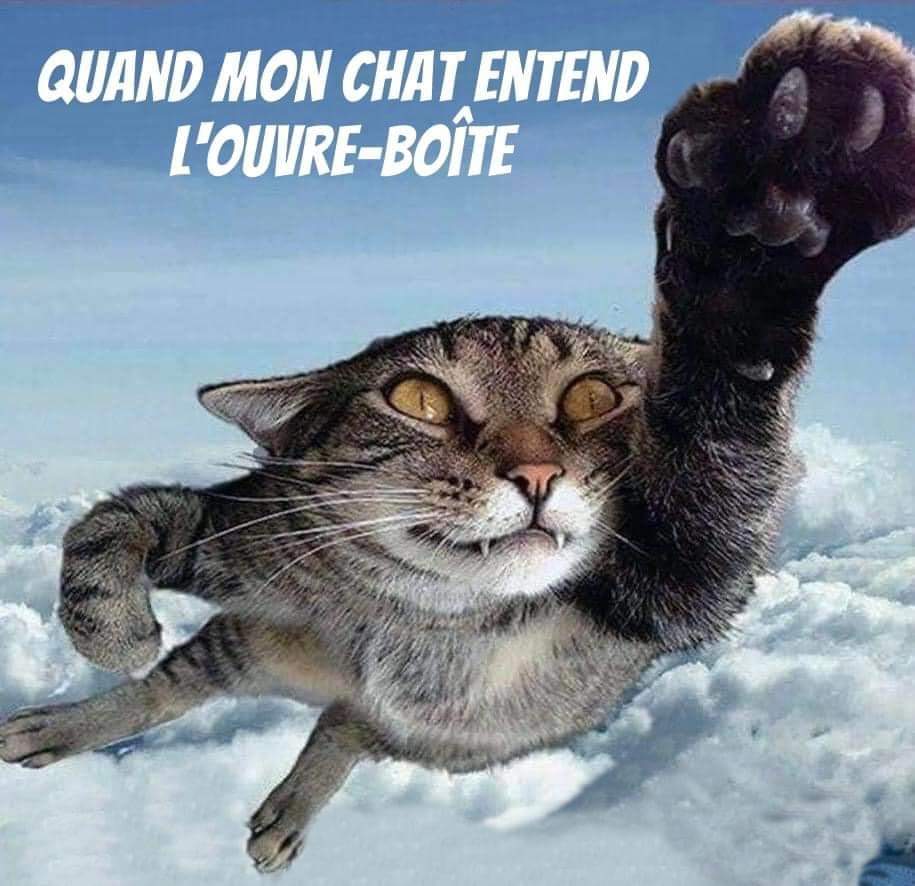 Name:  20240527_155515.jpg
Views: 64
Size:  78.4 KB