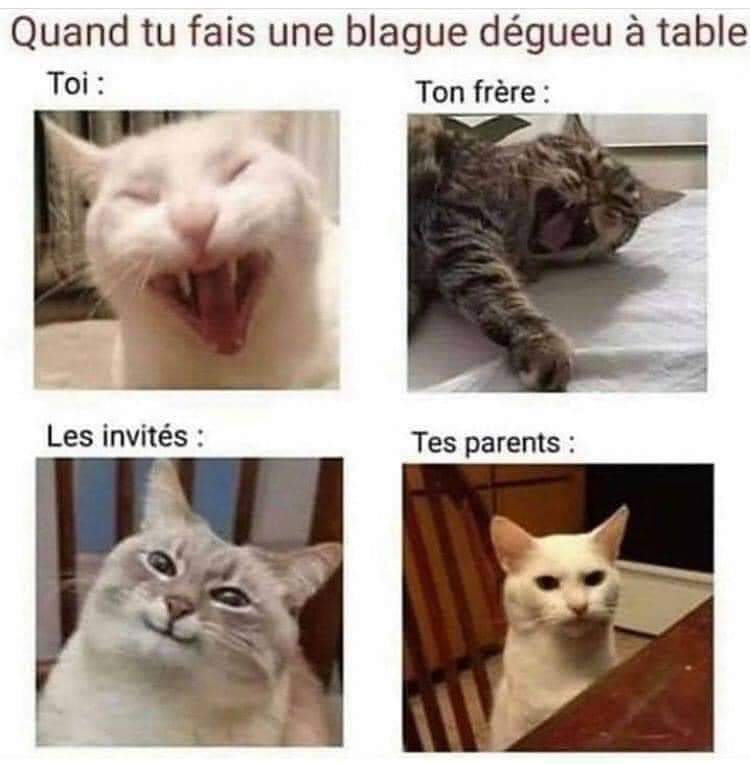 Name:  20240527_054828.jpg
Views: 68
Size:  40.8 KB