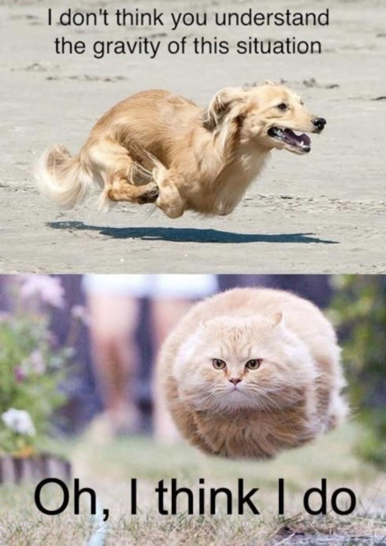 Name:  20240603_173406.jpg
Views: 73
Size:  86.4 KB