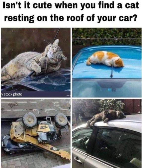 Name:  cxvkrhzi.jpg
Views: 44
Size:  66.9 KB