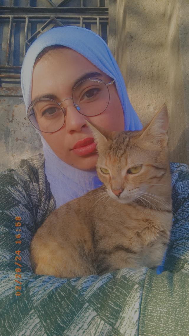 Name:  Snapchat-2136324433.jpg
Views: 171
Size:  97.1 KB