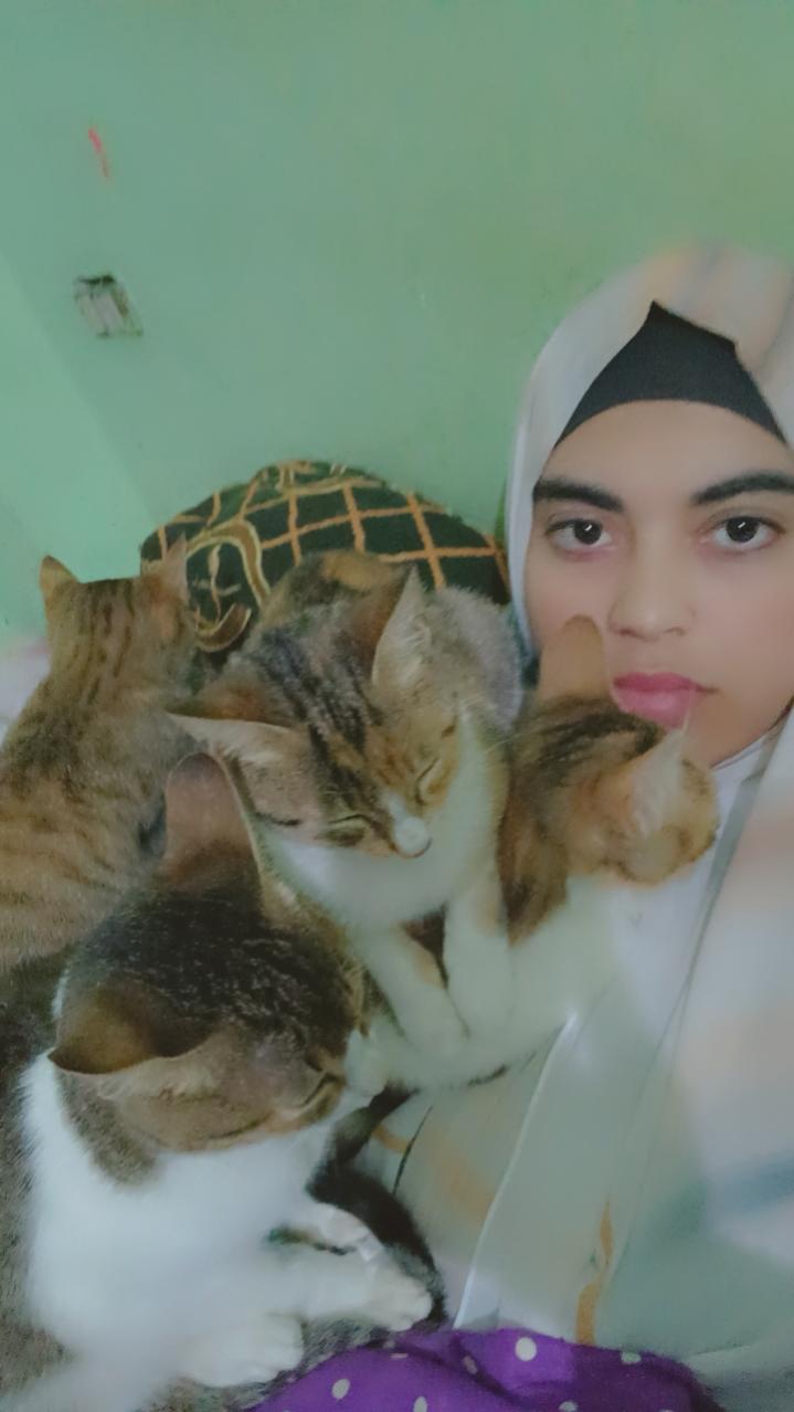 Name:  Snapchat-1059150980.jpg
Views: 170
Size:  58.2 KB