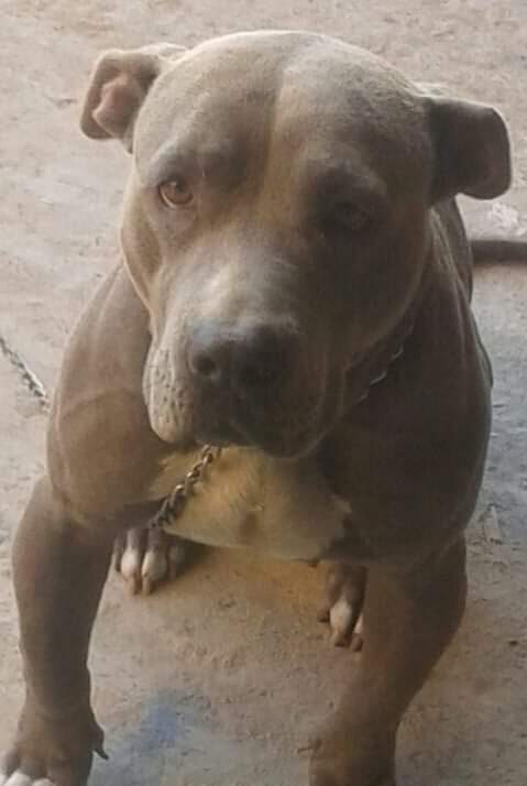 Name:  received_606550926363486.jpeg
Views: 157
Size:  23.1 KB