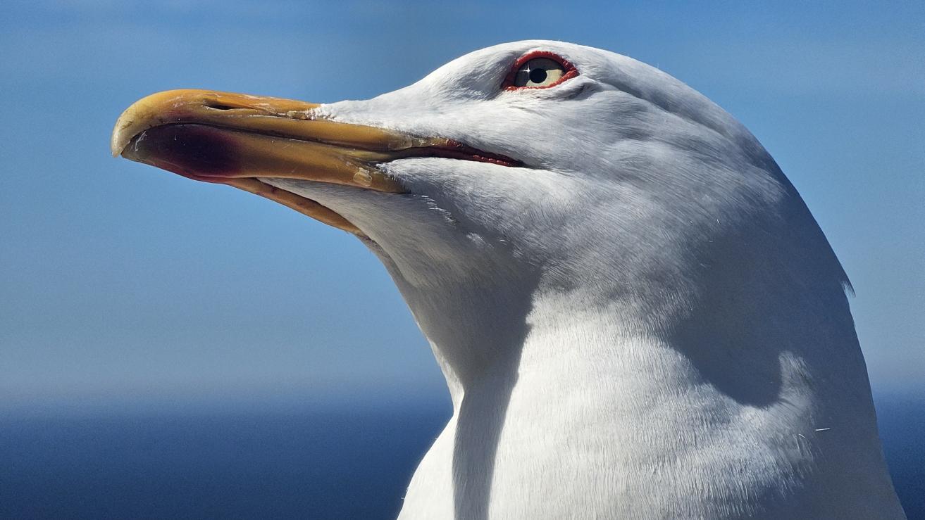 Name:  20240530_121026.jpg
Views: 53
Size:  99.7 KB