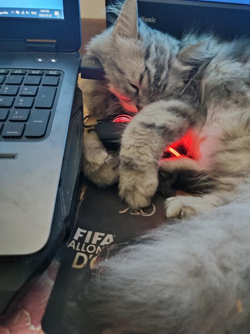 Name:  IMG_20220727_143402.jpg
Views: 142
Size:  87.9 KB