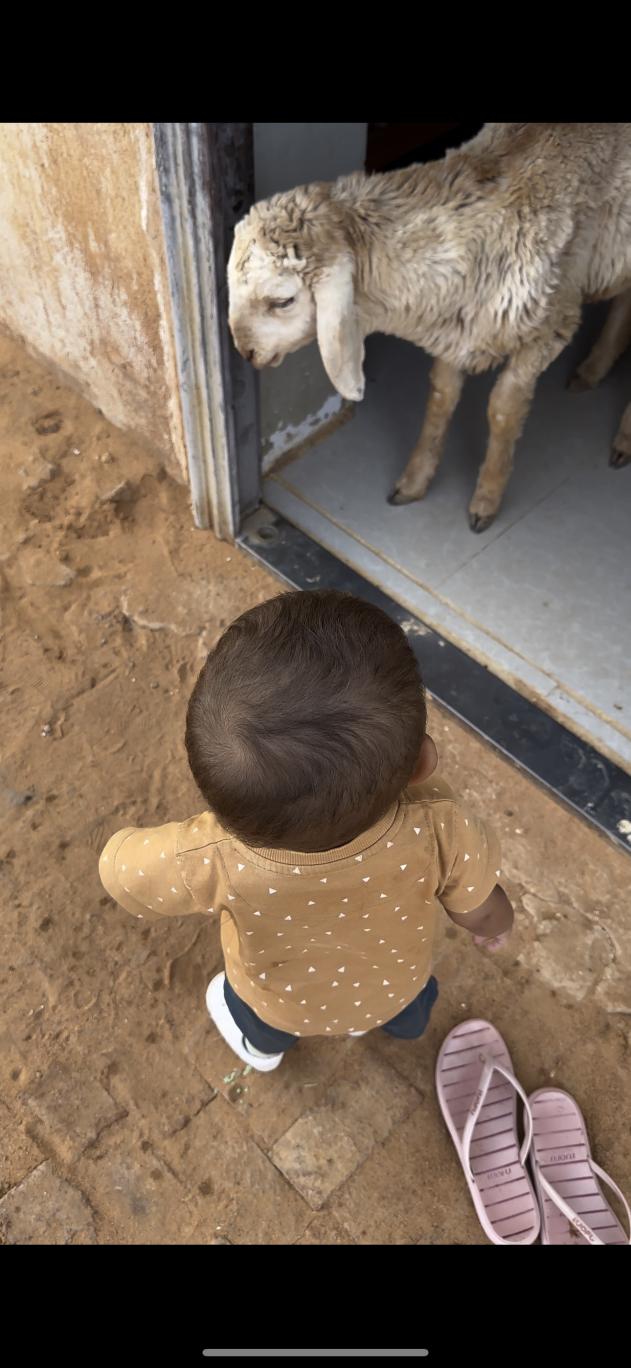 Name:  IMG_0000.jpg
Views: 60
Size:  97.2 KB