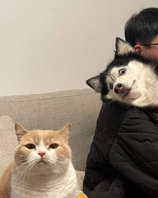 Name:  443711222_424797023829349_3328388205572755053_n.jpg
Views: 57
Size:  44.8 KB