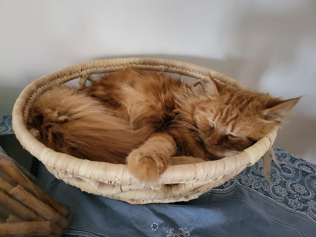 Name:  inbound5642487636422804724.jpg
Views: 49
Size:  93.0 KB