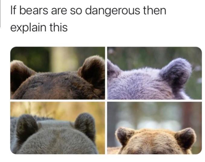 Name:  xqel124p.jpg
Views: 30
Size:  39.5 KB