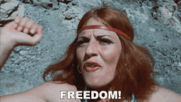 Name:  freedom-ezgif.com-resize(1).gif
Views: 132
Size:  768.1 KB