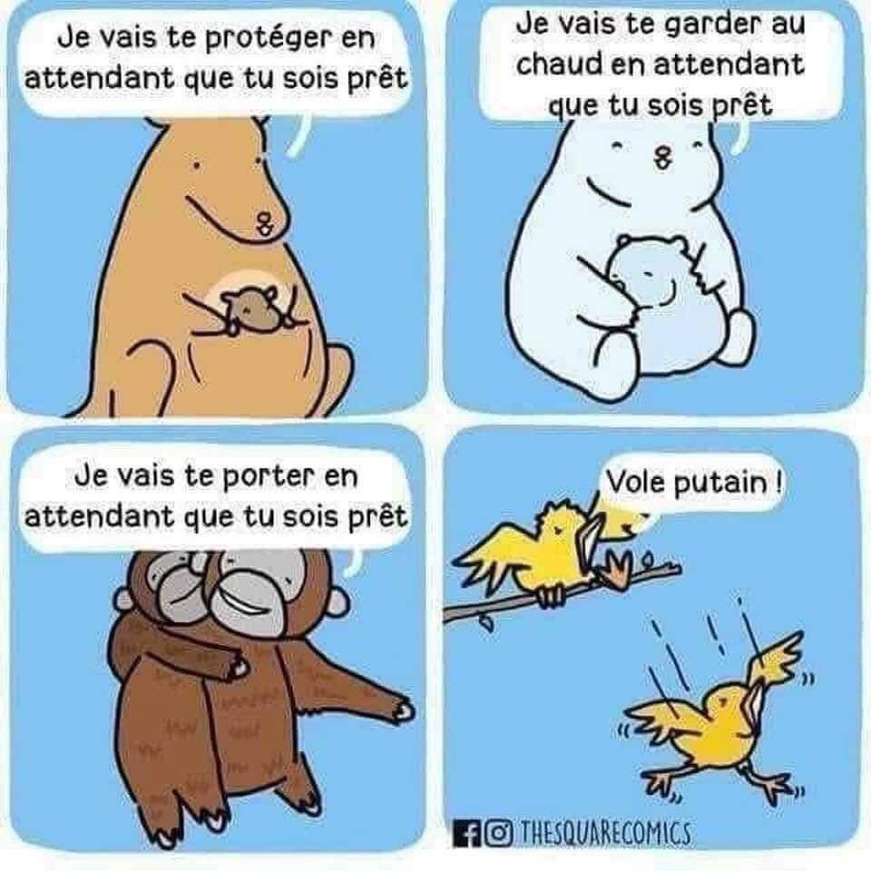 Name:  20240608_104738.jpg
Views: 57
Size:  76.2 KB