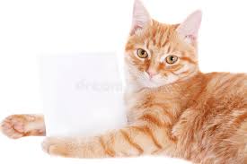 Name:  images(6)(6).jpeg
Views: 36
Size:  5.1 KB