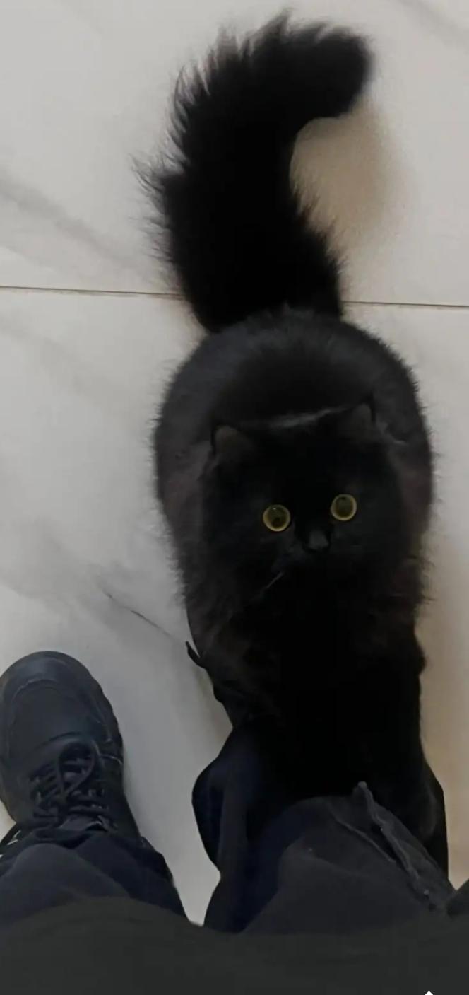 Name:  IMG_7164.jpg
Views: 41
Size:  40.9 KB