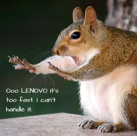 Name:  caption-this-opt2.jpg
Views: 25
Size:  57.4 KB