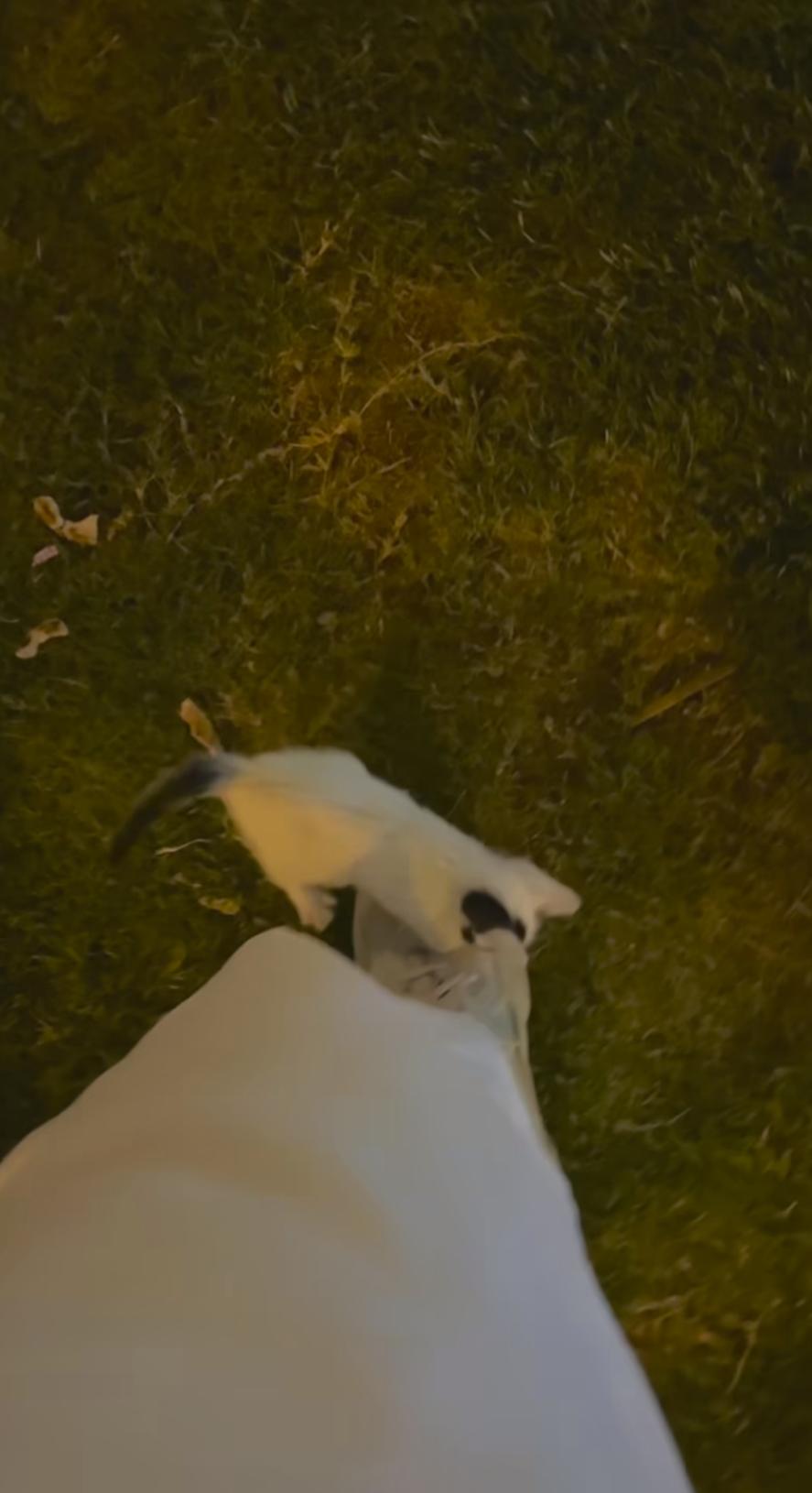 Name:  IMG_20231103_173657.jpg
Views: 17
Size:  78.8 KB