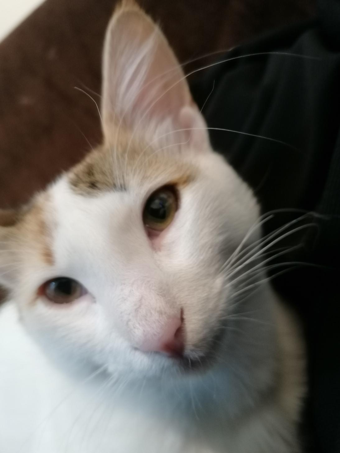 Name:  IMG_20221127_194622.jpg
Views: 25
Size:  77.4 KB