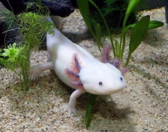 Name:  Screenshot2024-06-14143133.jpg
Views: 75
Size:  43.1 KB