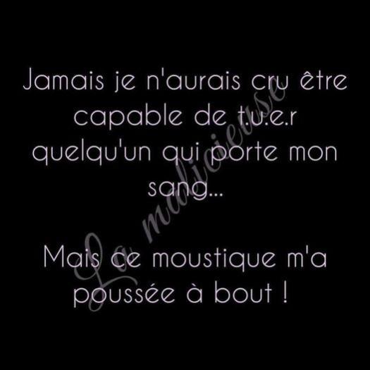 Name:  bdy09dk8.jpg
Views: 27
Size:  23.6 KB