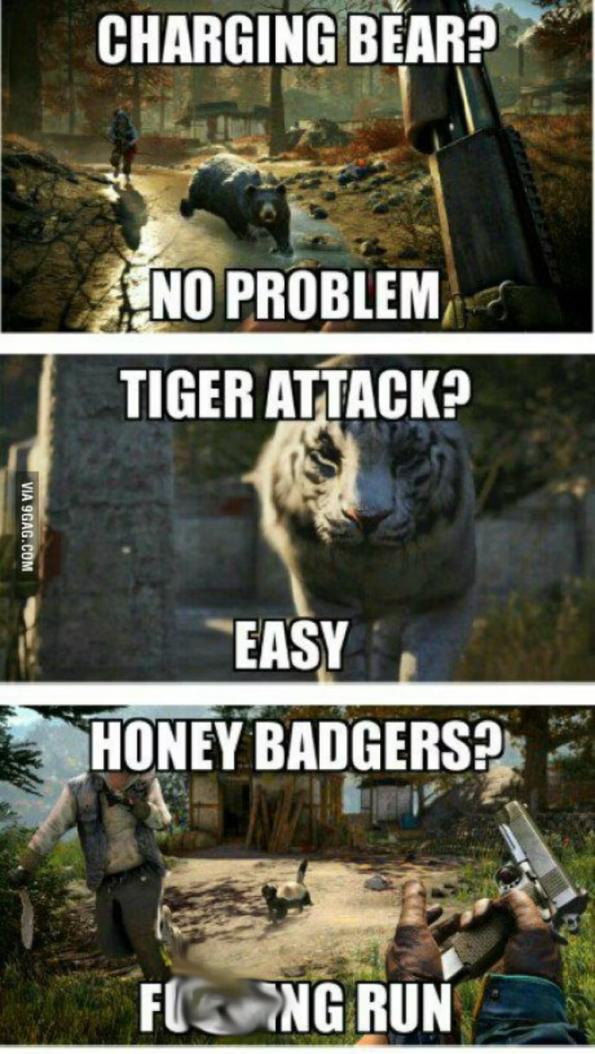 Name:  cc.jpg
Views: 37
Size:  100.1 KB