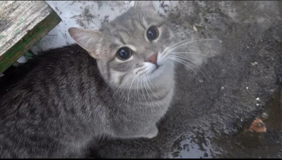 Name:  IMG_20221128_191002.jpg
Views: 62
Size:  78.1 KB