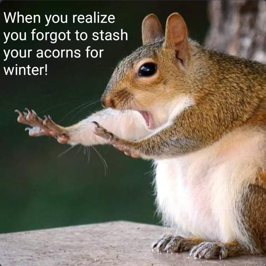 Name:  AddText_06-18-02.11.11.jpg
Views: 16
Size:  81.2 KB