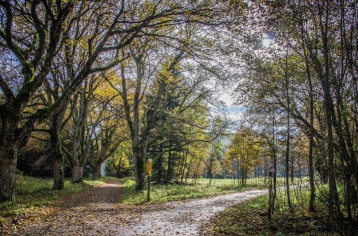 Name:  Screenshot2024-06-13151526.jpg
Views: 27
Size:  88.8 KB