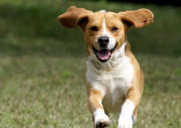 Name:  ddd.jpg
Views: 45
Size:  12.2 KB