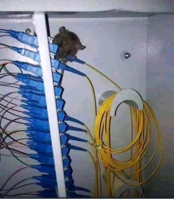 Name:  xosl5zid.jpg
Views: 40
Size:  49.6 KB