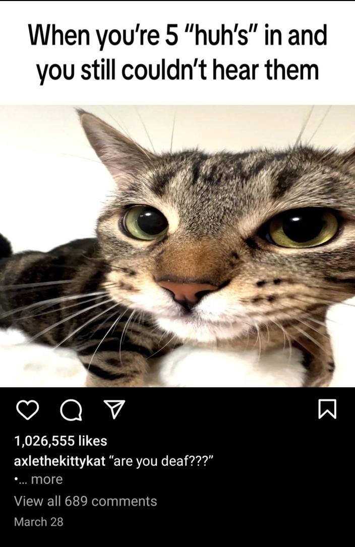 Name:  Screenshot_20240621_130617_Instagram.jpg
Views: 744
Size:  91.5 KB