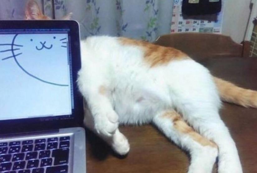 Name:  IMG_20240621_141322.jpg
Views: 31
Size:  39.8 KB