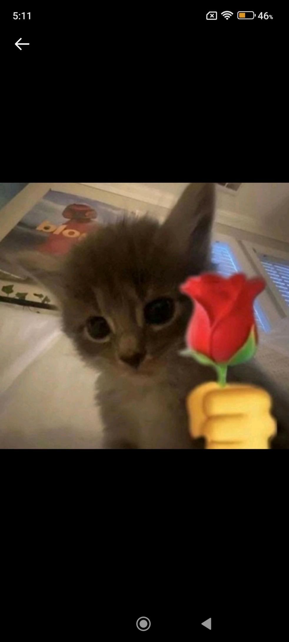 Name:  Screenshot_2024-06-07-05-11-48-760_com.zhiliaoapp.musically.jpg
Views: 287
Size:  79.4 KB