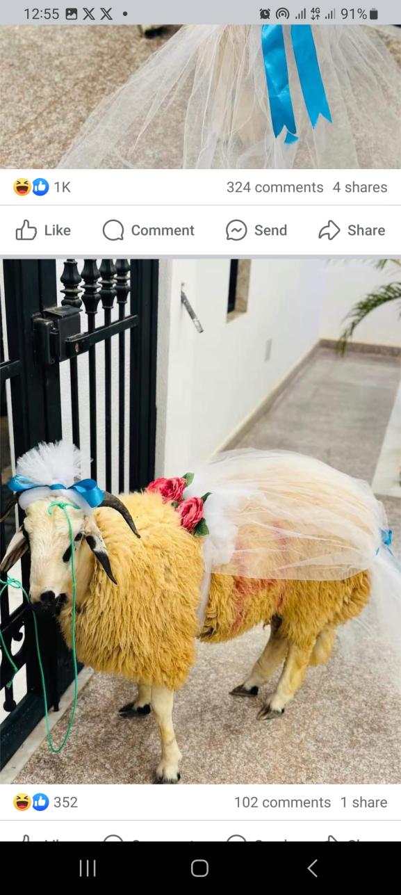 Name:  Screenshot_20240616_125539_Facebook.jpg
Views: 76
Size:  102.6 KB