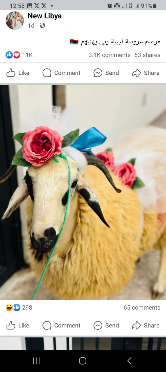 Name:  Screenshot_20240616_125550_Facebook.jpg
Views: 75
Size:  92.8 KB