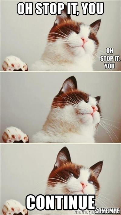 Name:  oh-stop-it-you-continue.jpg
Views: 257
Size:  35.9 KB
