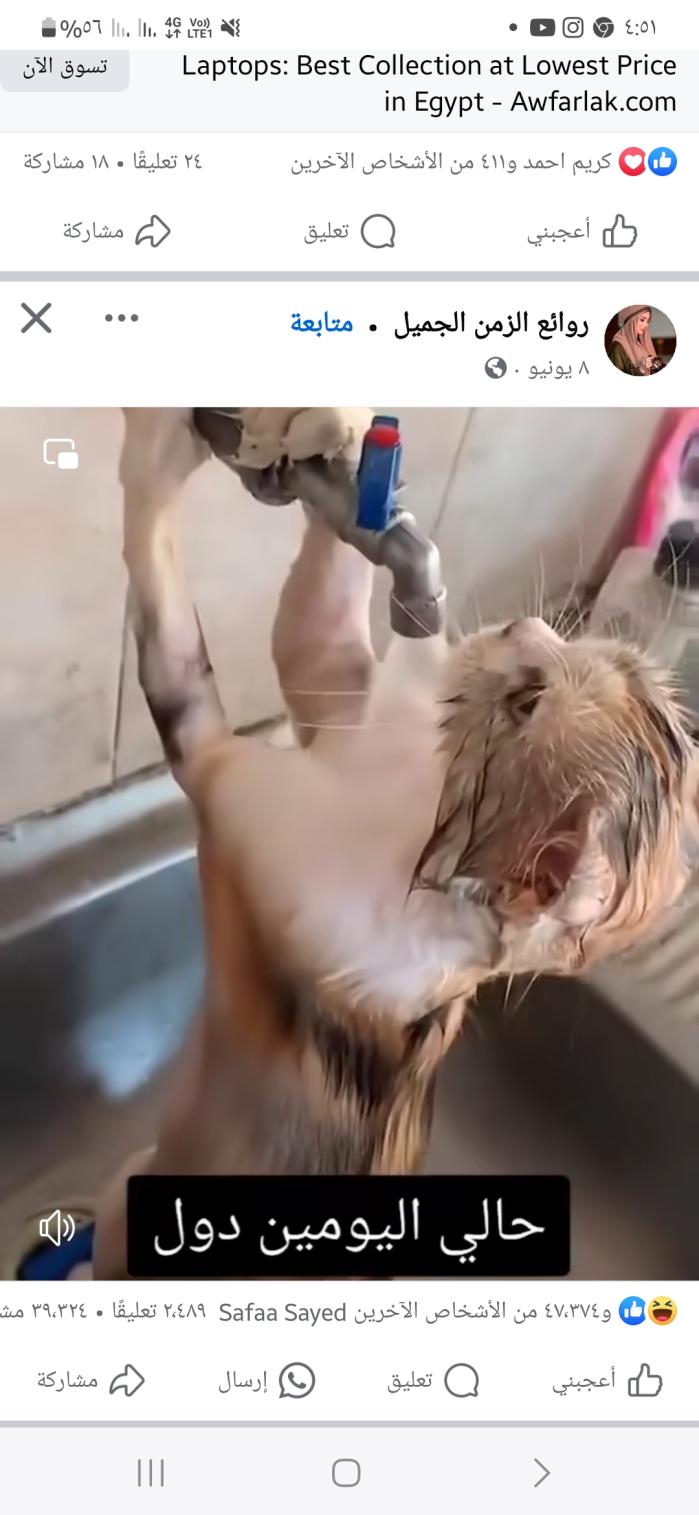 Name:  inbound3042163040739012282.jpg
Views: 75
Size:  89.2 KB