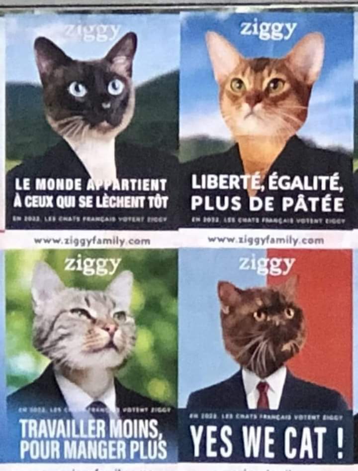 Name:  20240622_204732.jpg
Views: 29
Size:  67.1 KB