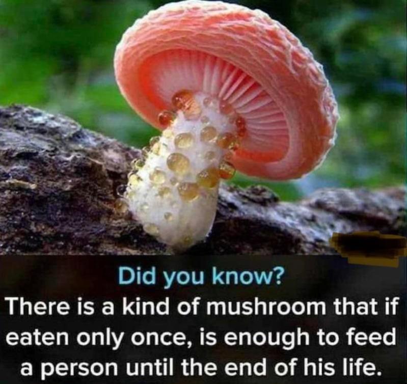 Name:  20240629_203647.jpg
Views: 48
Size:  77.1 KB