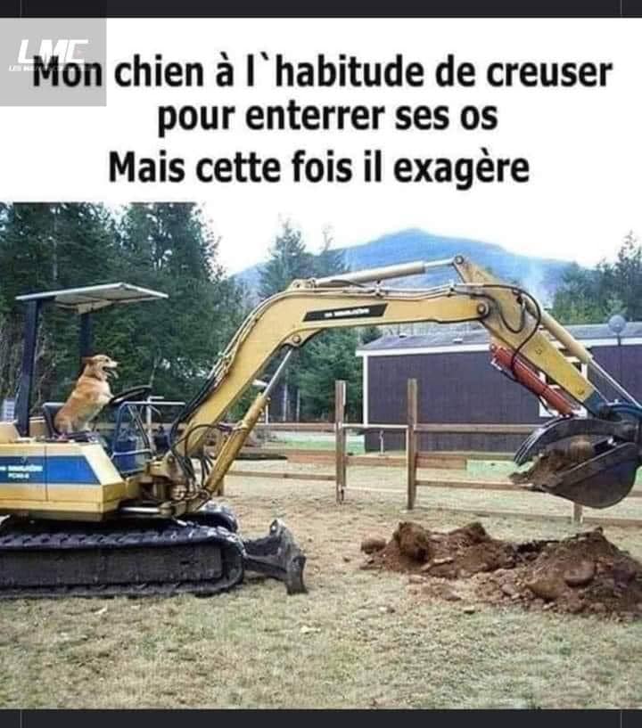 Name:  20240629_132841.jpg
Views: 46
Size:  68.9 KB