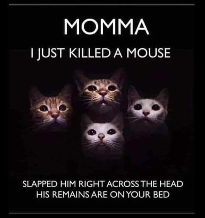 Name:  20240626_135337.jpg
Views: 47
Size:  37.3 KB