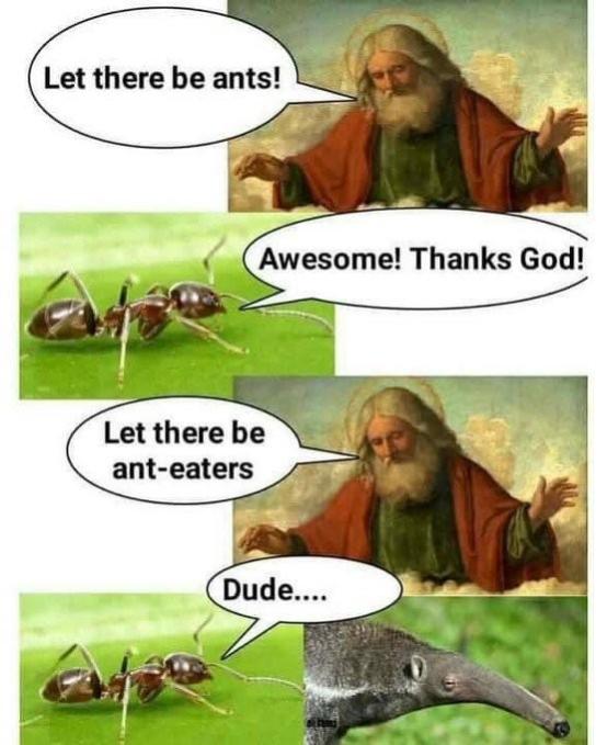 Name:  temef3og.jpg
Views: 21
Size:  51.8 KB