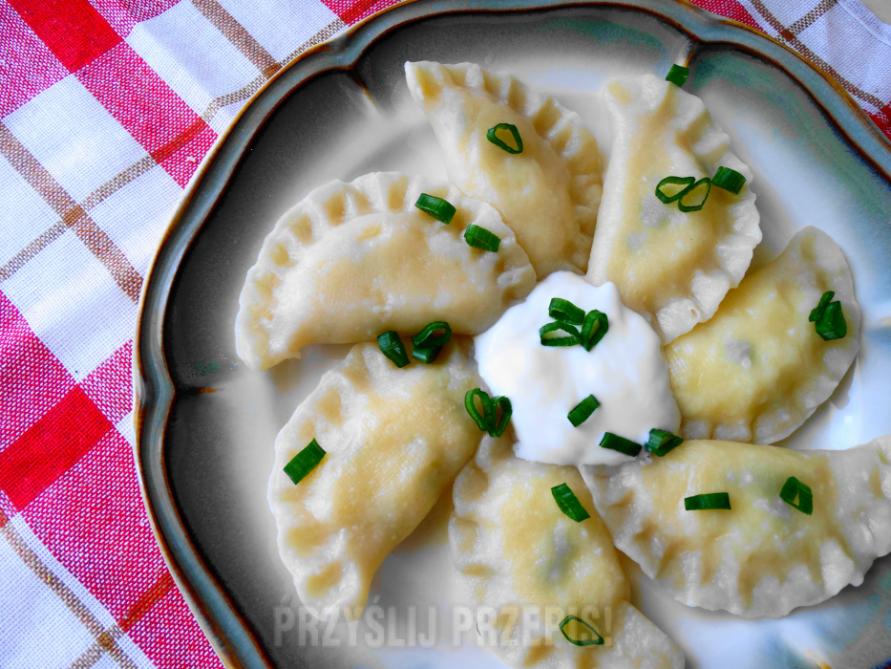 Name:  pierogi.jpg
Views: 36
Size:  94.7 KB