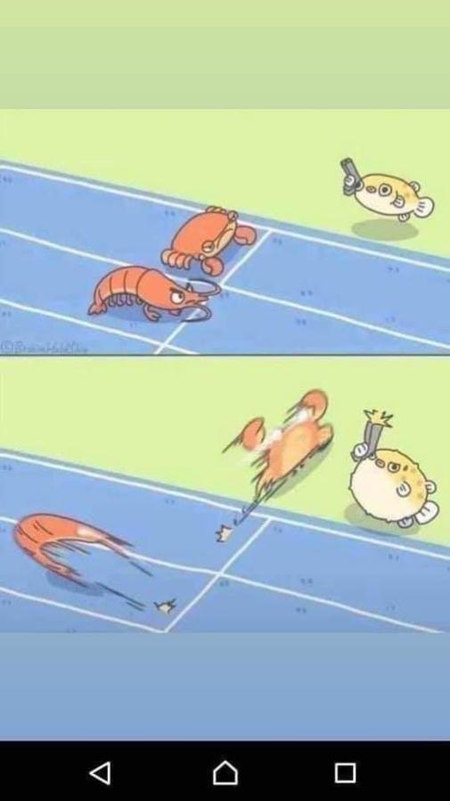 Name:  3fwzeb5o.jpg
Views: 33
Size:  32.4 KB