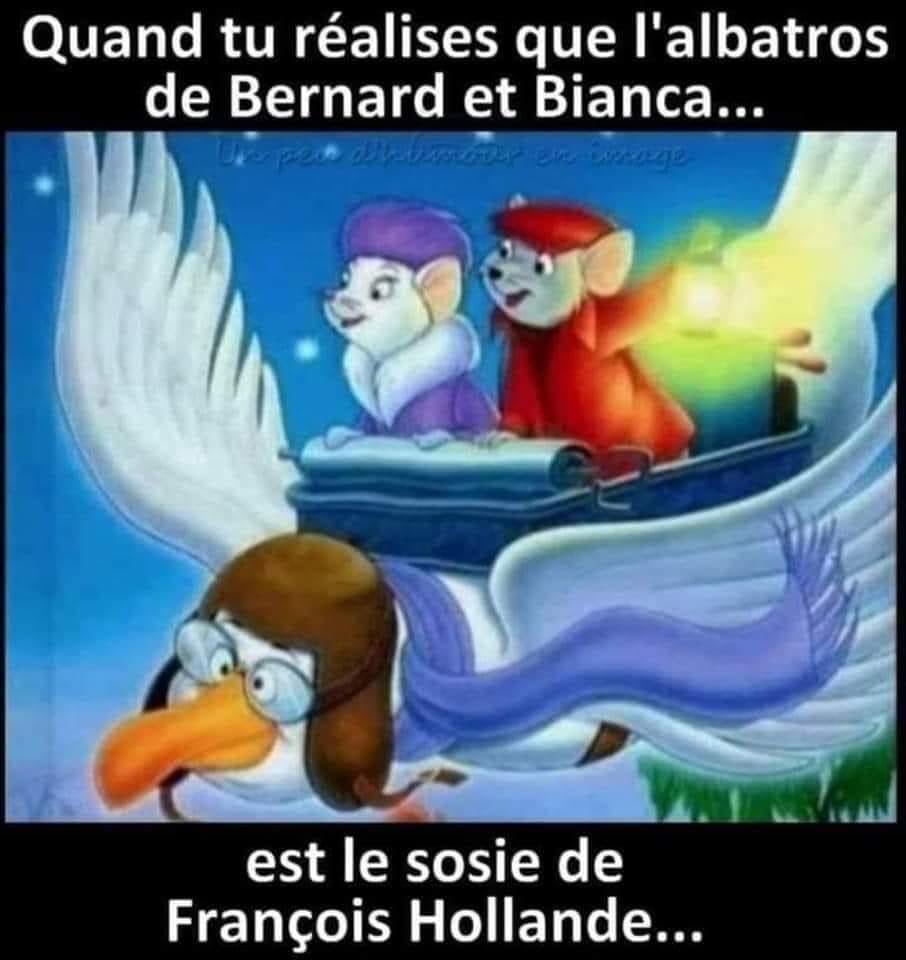 Name:  20240707_171149.jpg
Views: 22
Size:  72.4 KB