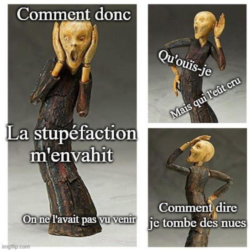 Name:  mais_qui_leut_cru.jpg
Views: 11
Size:  84.6 KB