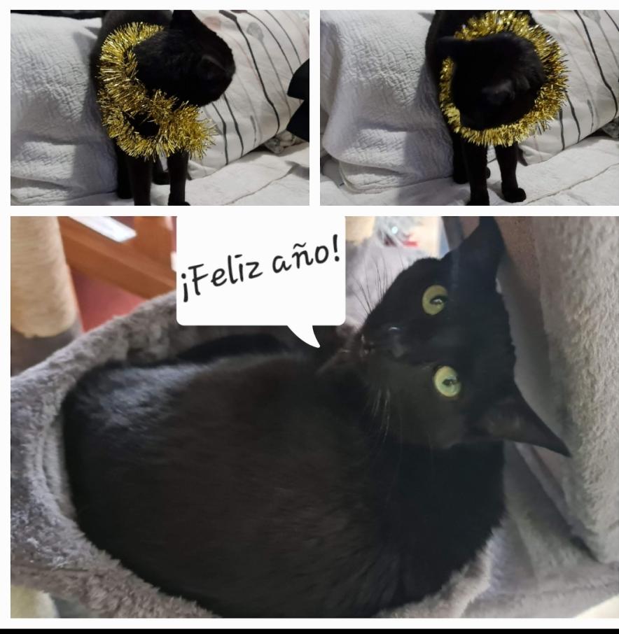 Name:  Screenshot_20240711_090900_Photos.jpg
Views: 23
Size:  82.5 KB