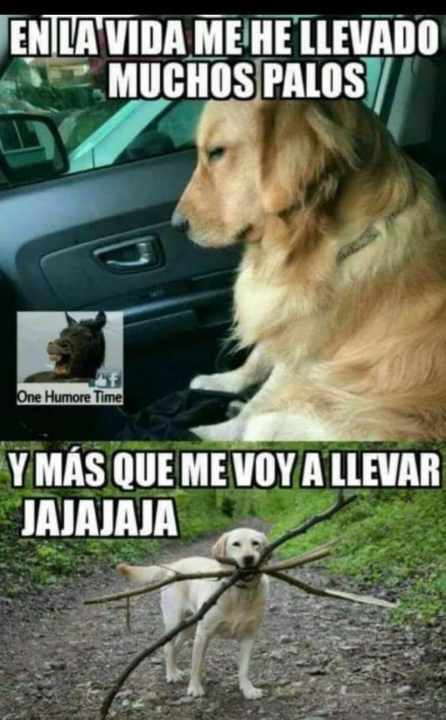 Name:  179464469_929655667797966_1525424985827611260_n.jpg
Views: 45
Size:  94.1 KB