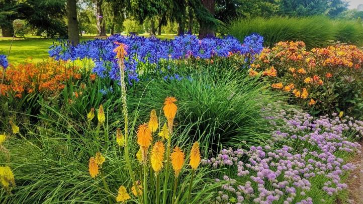 Name:  flowers.jpg
Views: 53
Size:  103.1 KB