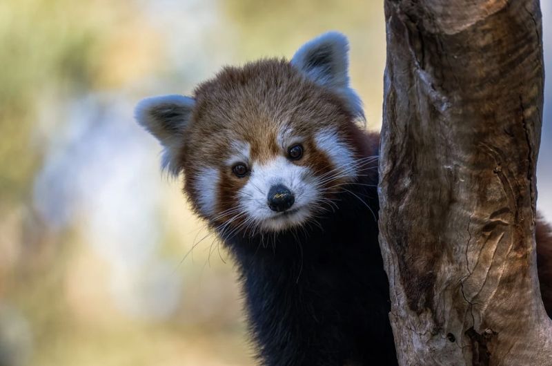 Name:  Screenshot2024-07-19121804.jpg
Views: 42
Size:  53.7 KB