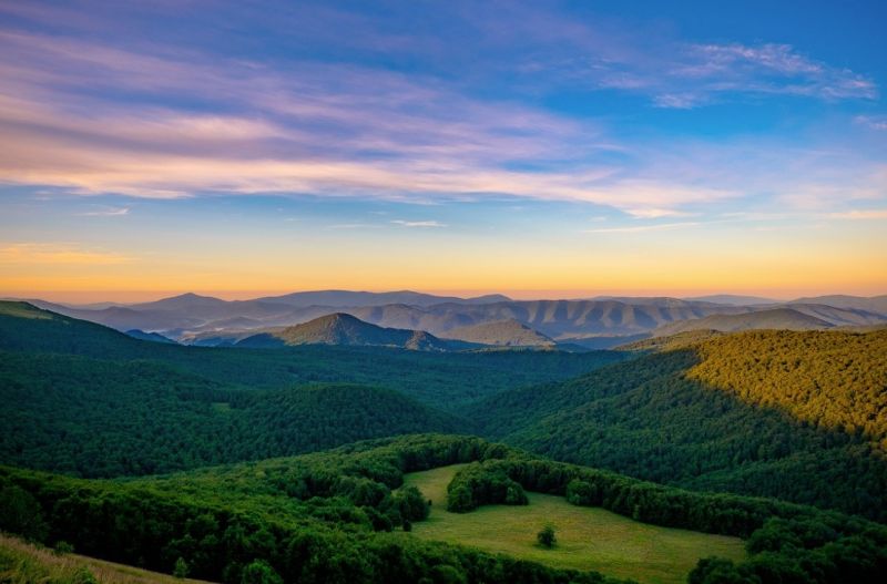 Name:  Screenshot2024-07-19122540.jpg
Views: 78
Size:  54.1 KB